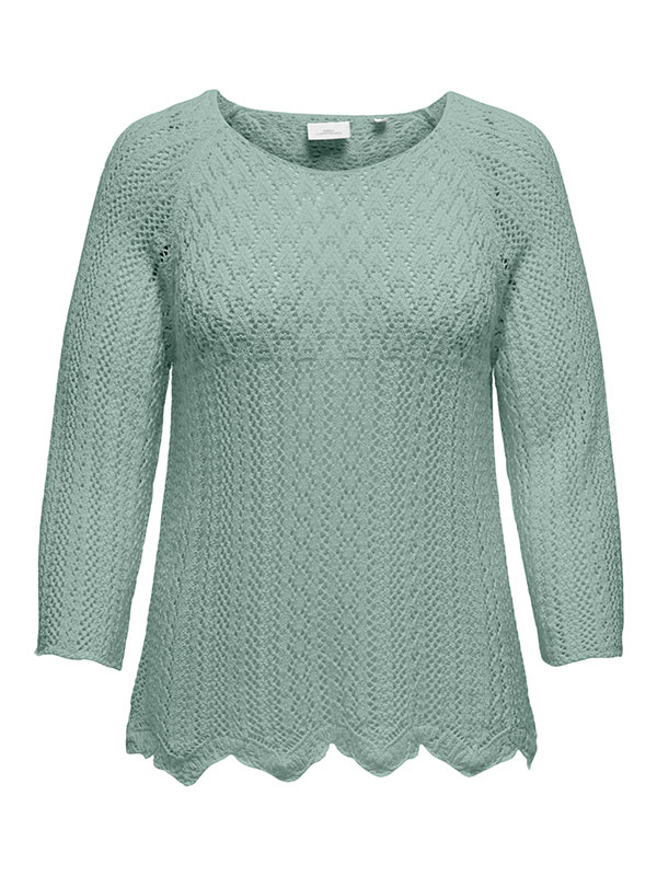CARNOLA - Plus Size Blouse fra Only Carmakoma