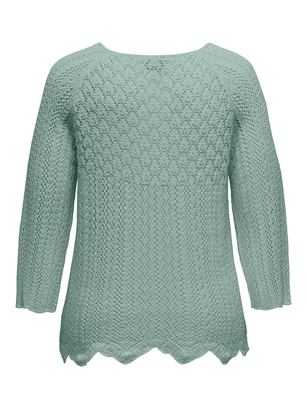 CARNOLA - Plus Size Blouse fra Only Carmakoma