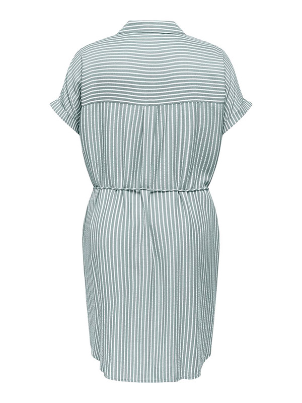 CARPENNA - Plus Size Dress fra Only Carmakoma