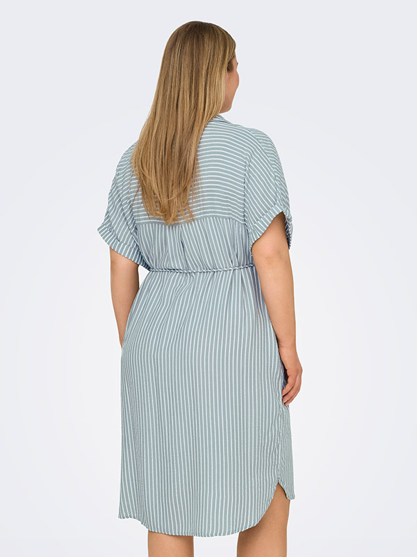 CARPENNA - Plus Size Dress fra Only Carmakoma