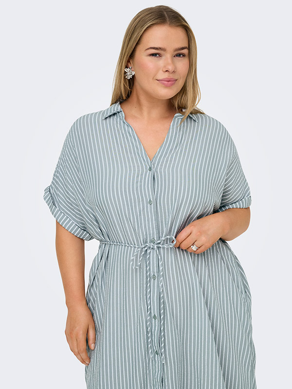 CARPENNA - Plus Size Dress fra Only Carmakoma