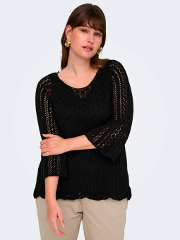 CARNOLA - Plus Size Sweater from Only Carmakoma