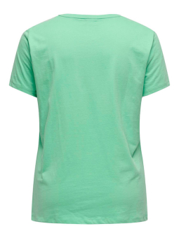 CARAMMY - Plus Size T-shirt from Only Carmakoma
