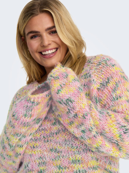 CARRAYNA - Plus Size Sweater from Only Carmakoma