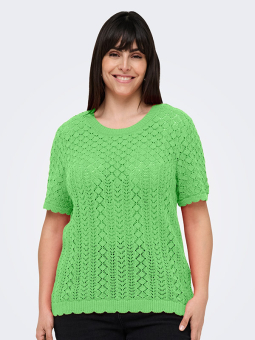 CARSAGA - Plus Size Blouse from Only Carmakoma