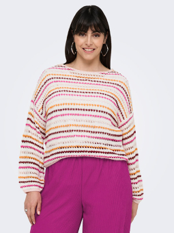 CARGENNA - Plus Size Sweater from Only Carmakoma