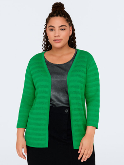 CARKELLY - Plus Size Cardigan from Only Carmakoma