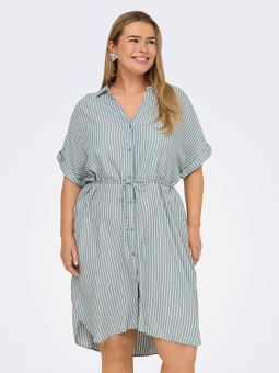 CARPENNA - Plus Size Dress from Only Carmakoma