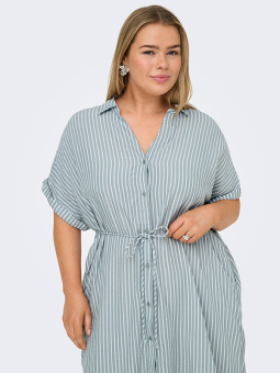 CARPENNA - Plus Size Dress from Only Carmakoma
