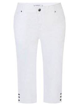 SALSA - Plus Size Pants from Zhenzi