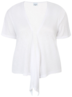 ZH-AGAR - Plus Size Cardigan from Zhenzi