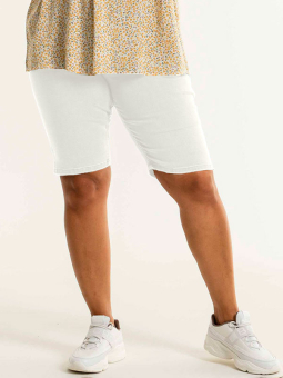 HALLA  - Plus Size Shorts from Studio