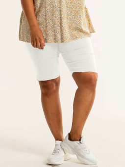 HALLA  - Plus Size Shorts from Studio