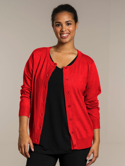 HELSINKI - Plus Size Cardigan from Sandgaard