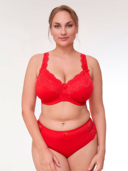 Plus Size Panties from Plaisir