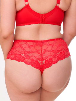 Plus Size Panties from Plaisir