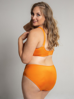 Plus Size Panties from Plaisir