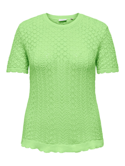 CARSAGA - Plus Size Blouse from Only Carmakoma