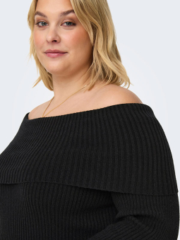 CARKATIA - Plus Size Sweater from Only Carmakoma